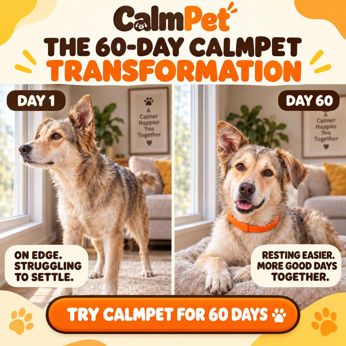 CalmPet Collar